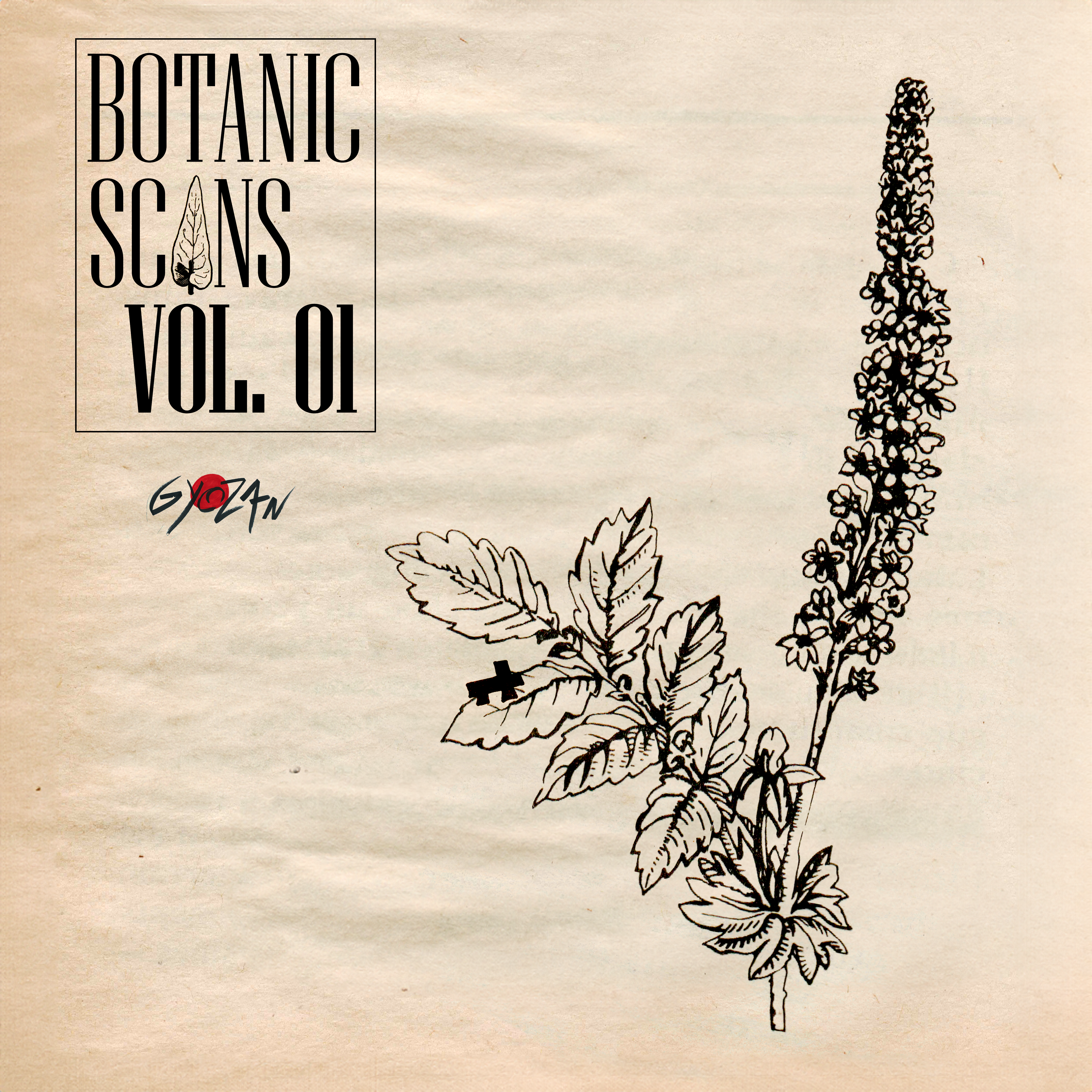 Botanic Scans — photo 1